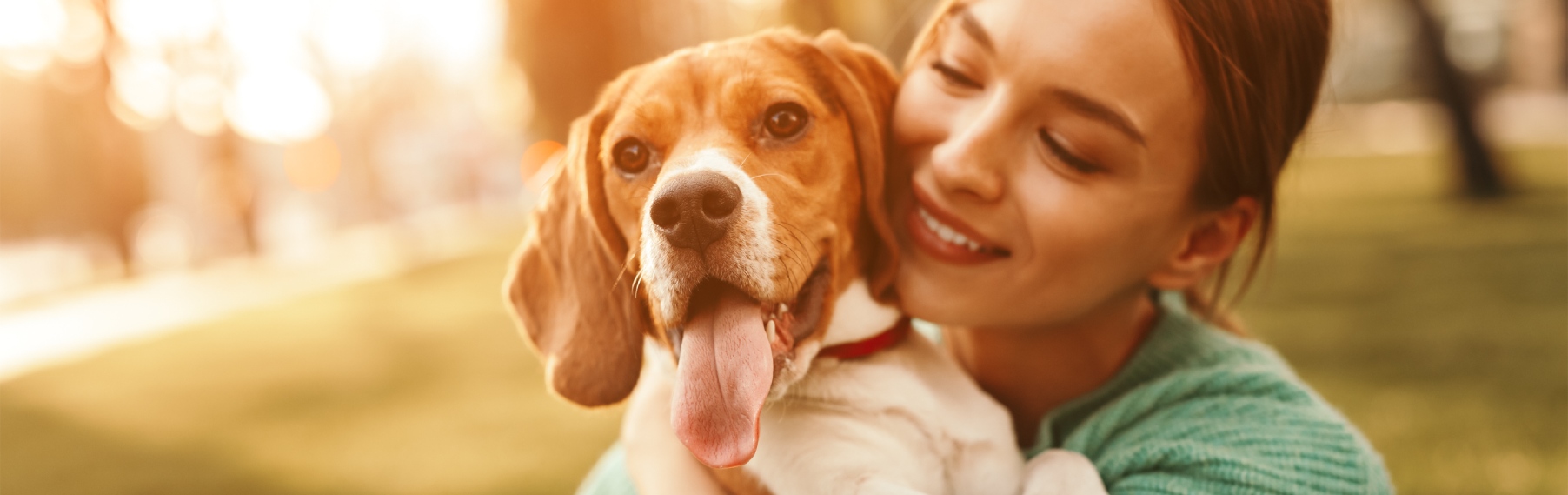 Pet Store Banner